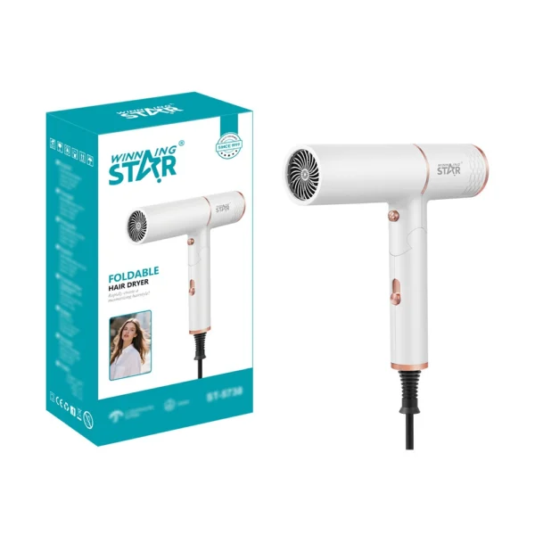 Winning Star Home 1400W Foldable Two-Speed Travel Hair Dryer